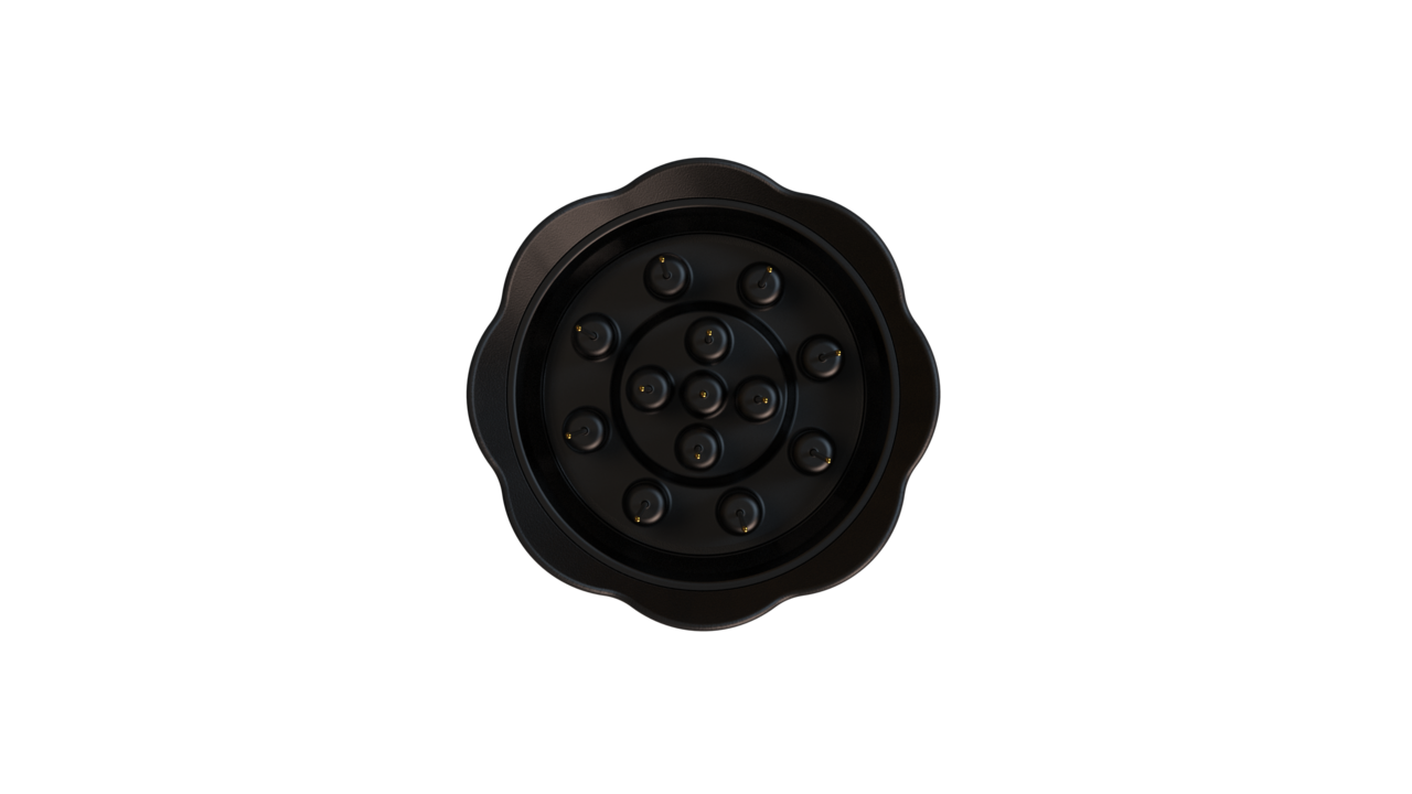 Nucleus Bloom