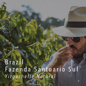 Brazil Fazenda Santuàrio Sul | Yirgacheffe | Natural - Cloud Catcher Roastery