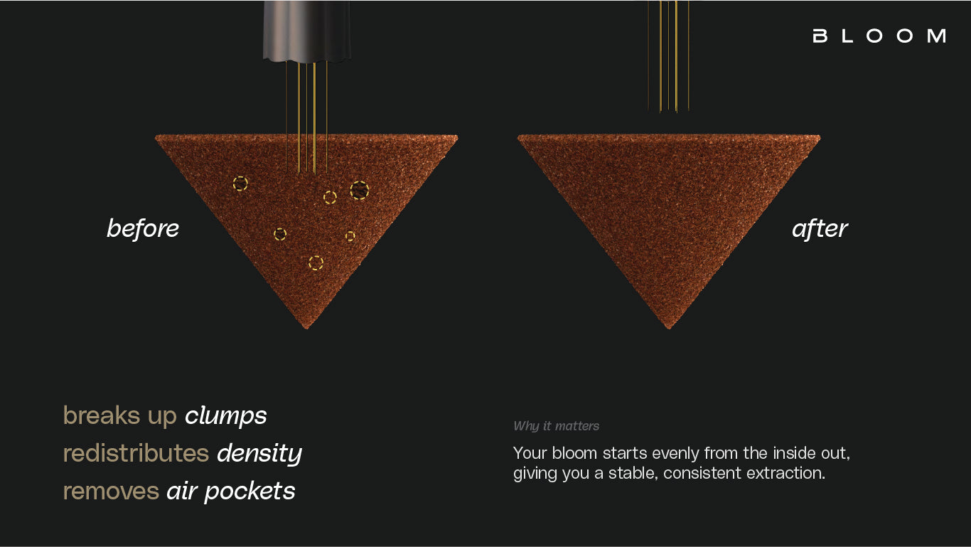 Nucleus Bloom - Cloud Catcher Roastery