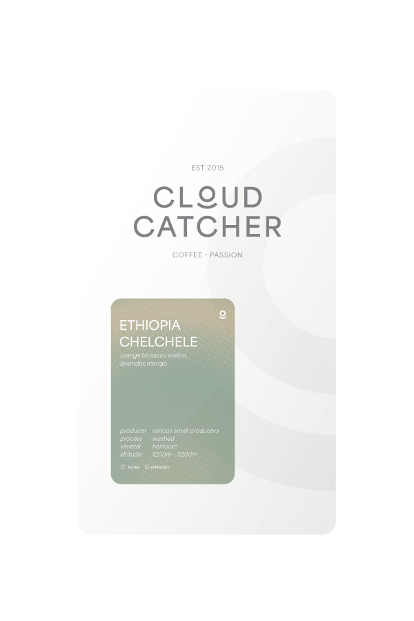 Ethiopia Yirgacheffe Chelchele - Washed