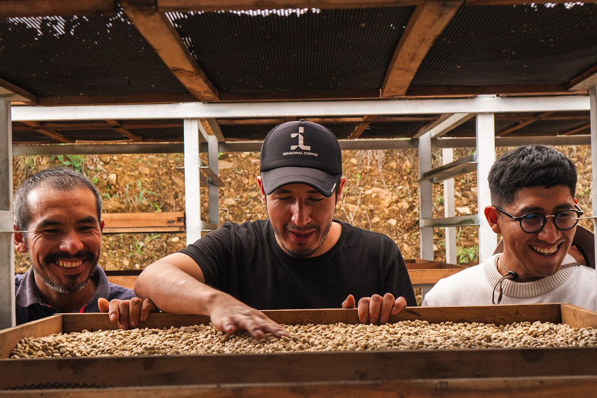 Coffee farmer