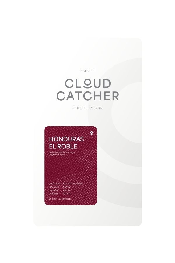 Honduras El Roble - Honey - Cloud Catcher Roastery