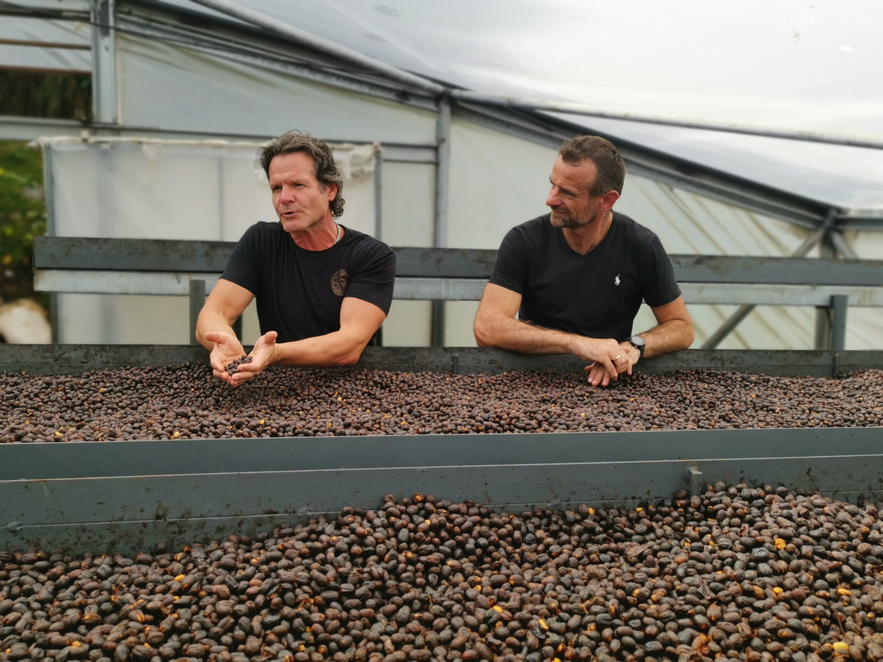 Coffee beans
