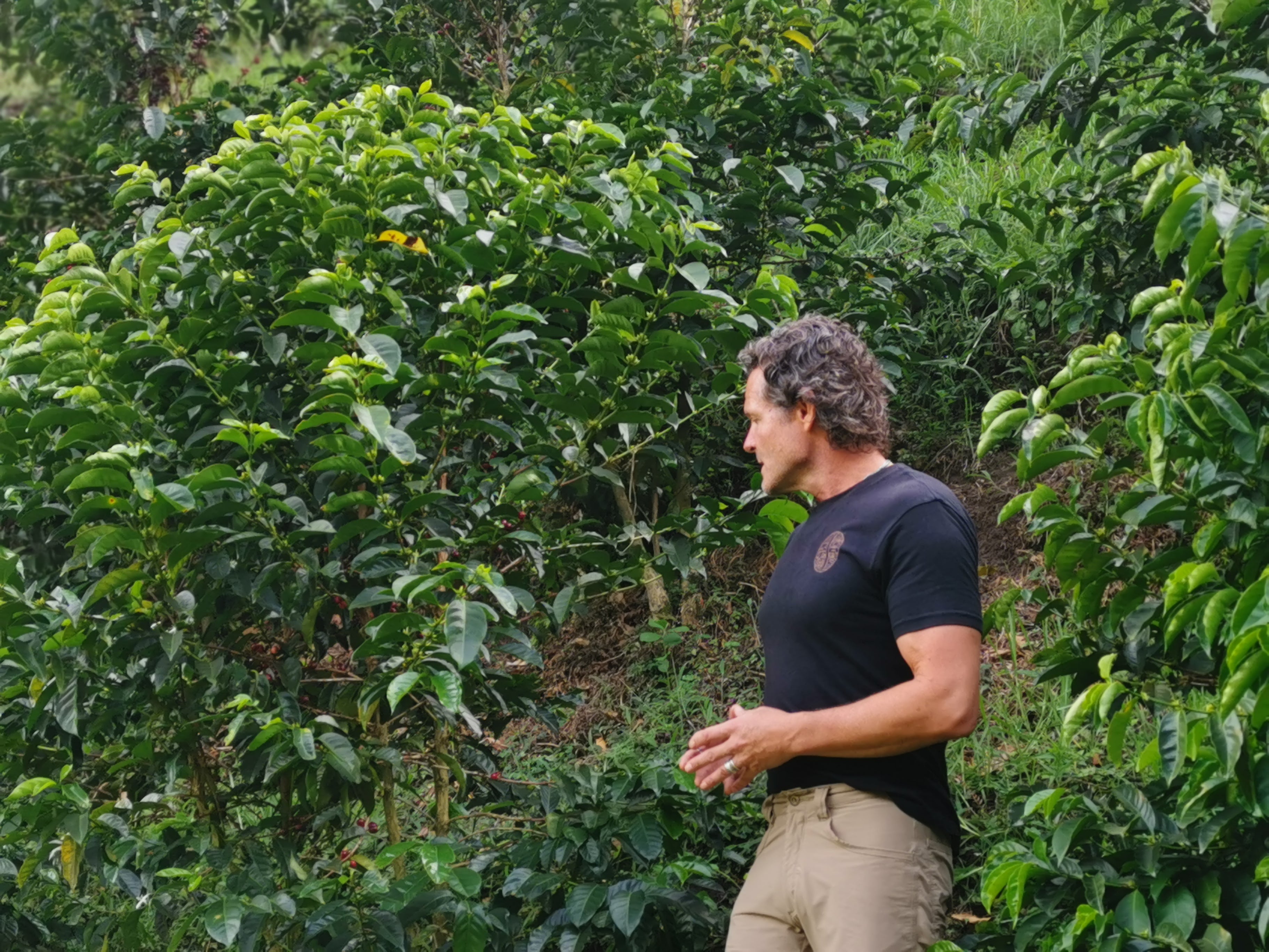 Coffee farmer