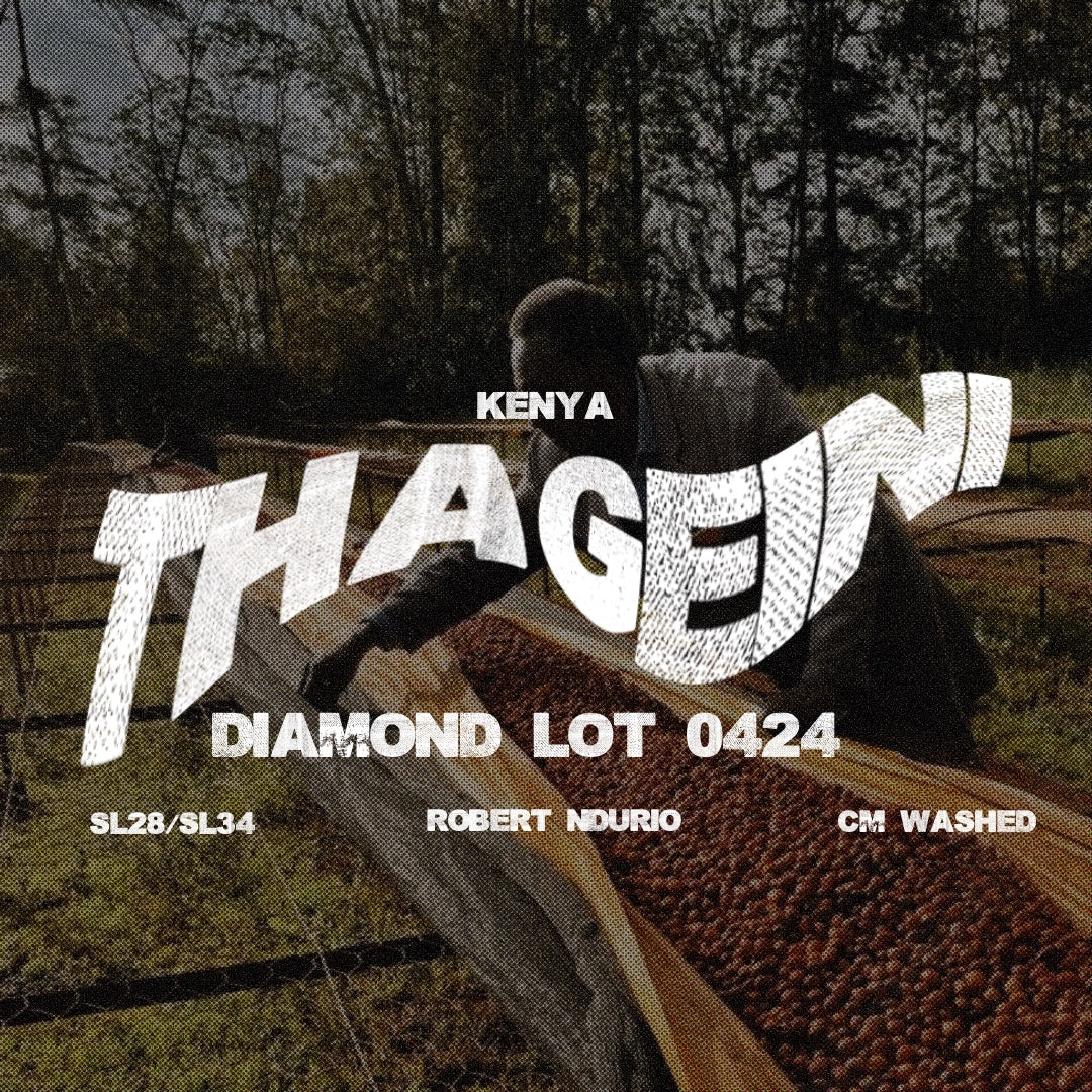 Kenya Thageini Diamond Lot 0424- CM Washed - Cloud Catcher Roastery