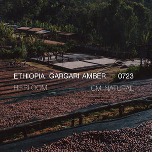 Ethiopia Gargari Amber Lot 0723 - CM Natural - Cloud Catcher Roastery