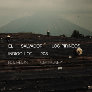 El Salvador Los Pirineos Indigo Lot 203 - CM Honey - Cloud Catcher Roastery