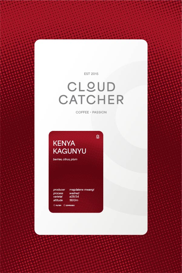 Kenya Kagunyu - Washed