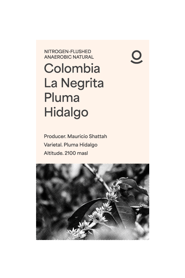 Colombia La Negrita Pluma Hidalgo (Green Beans) - Cloud Catcher Roastery