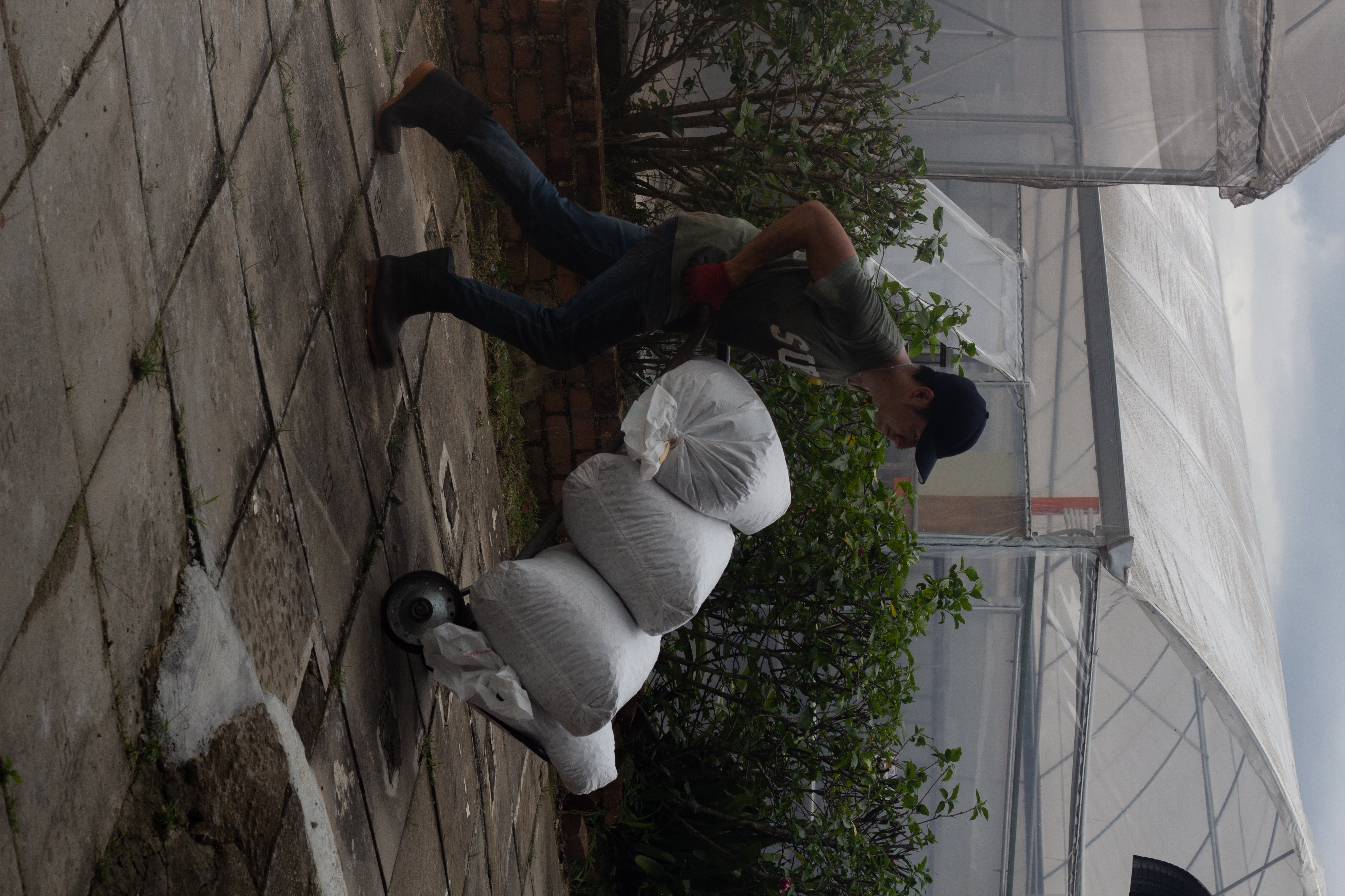 Malaysia Liberica - Anaerobic Natural - Cloud Catcher Roastery
