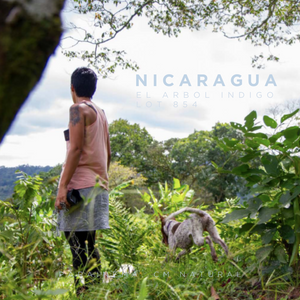 Nicaragua El Árbol Parainema Indigo Lot 854 - CM Natural - Cloud Catcher Roastery