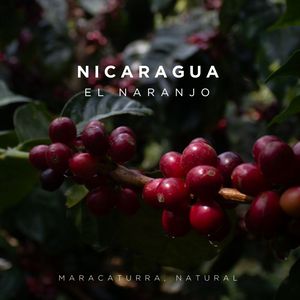 Nicaragua El Naranjo - Natural - Cloud Catcher Roastery