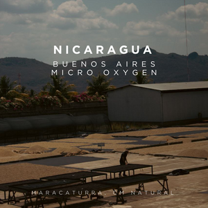 Nicaragua Buenos Aires - Micro Oxygen - Cloud Catcher Roastery