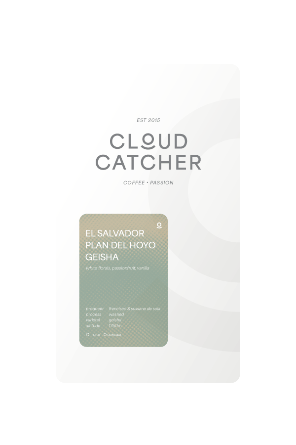 El Salvador Plan del Hoyo Geisha - Washed