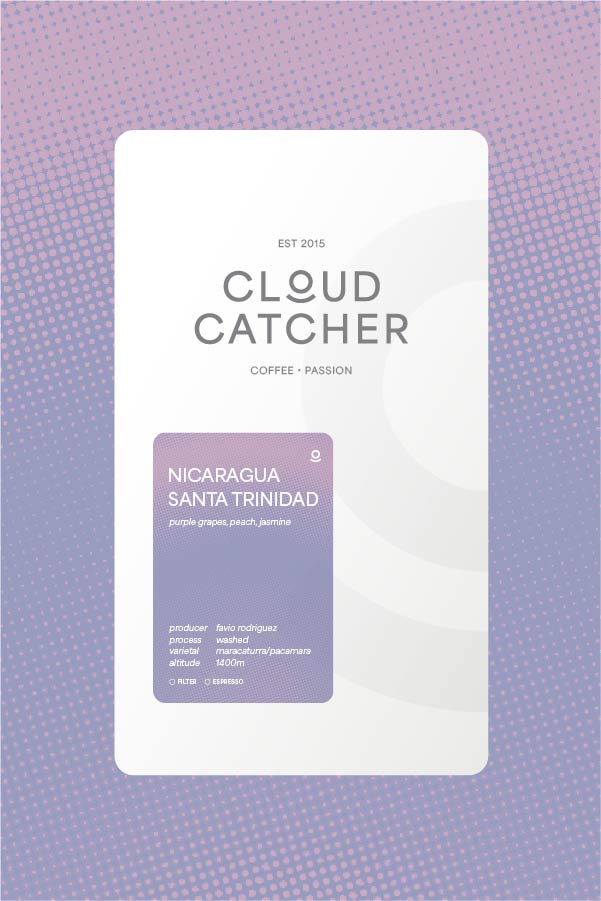 Nicaragua Santa Trinidad - Washed