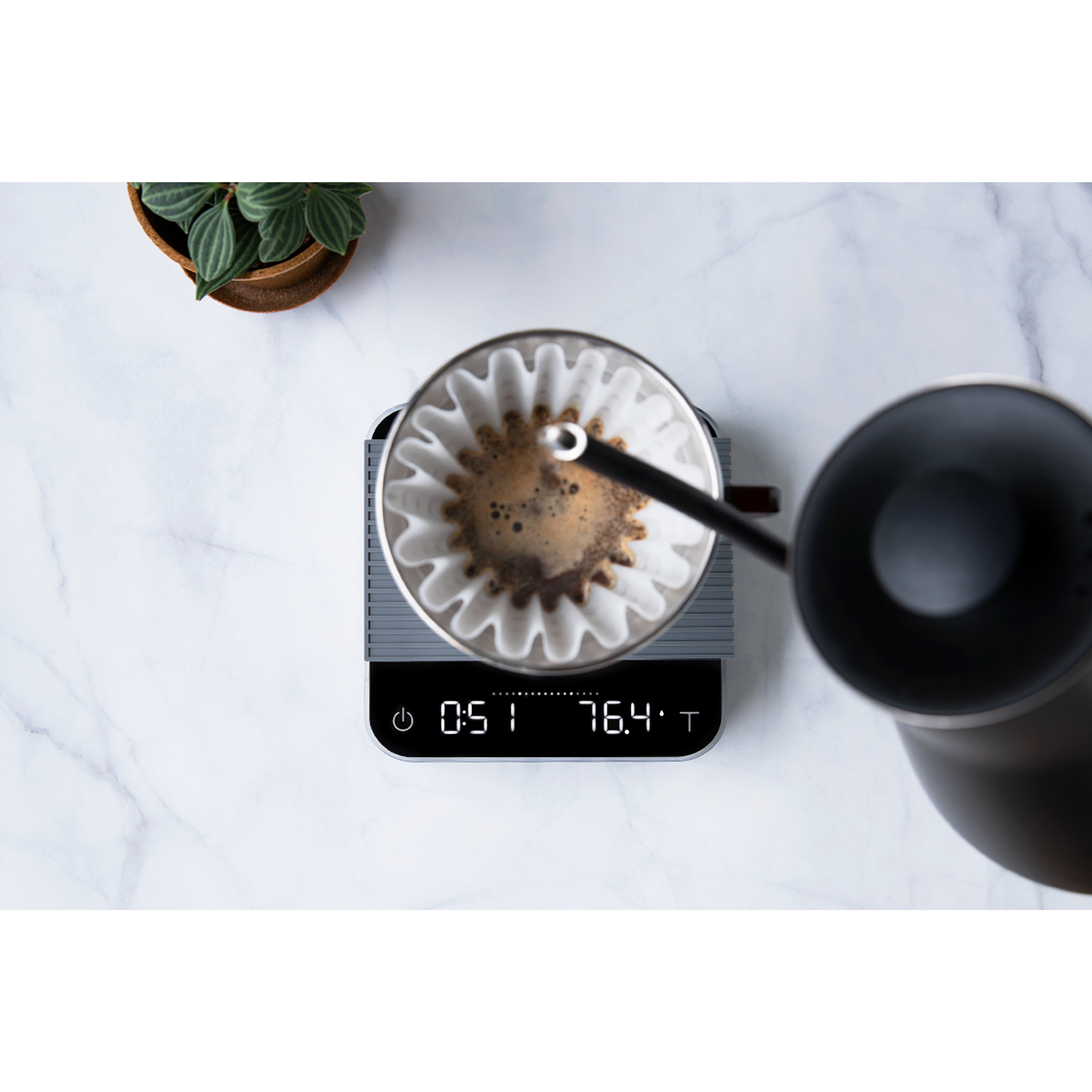 acaia | pearl 2021 - Cloud Catcher Roastery