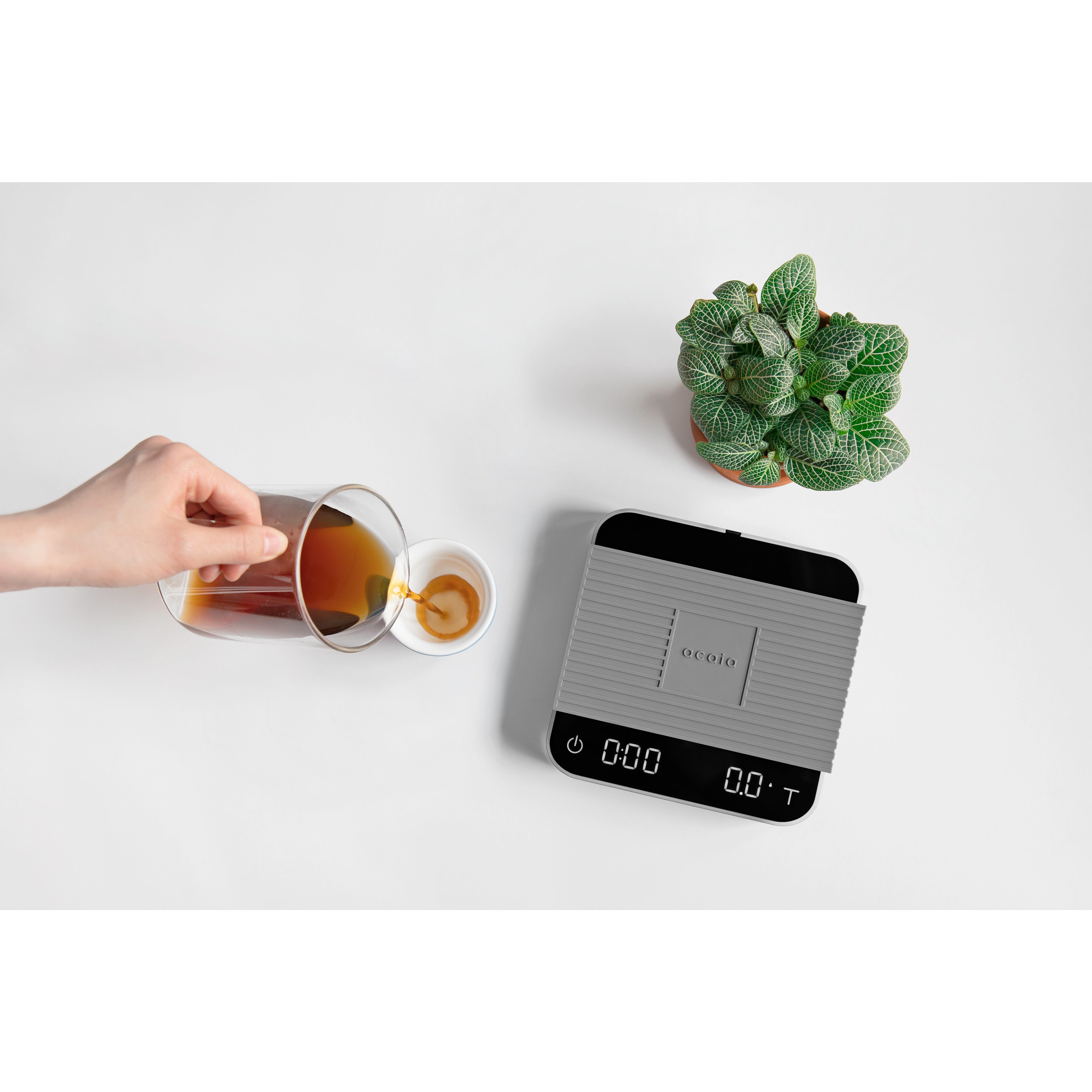 acaia | pearl 2021 - Cloud Catcher Roastery