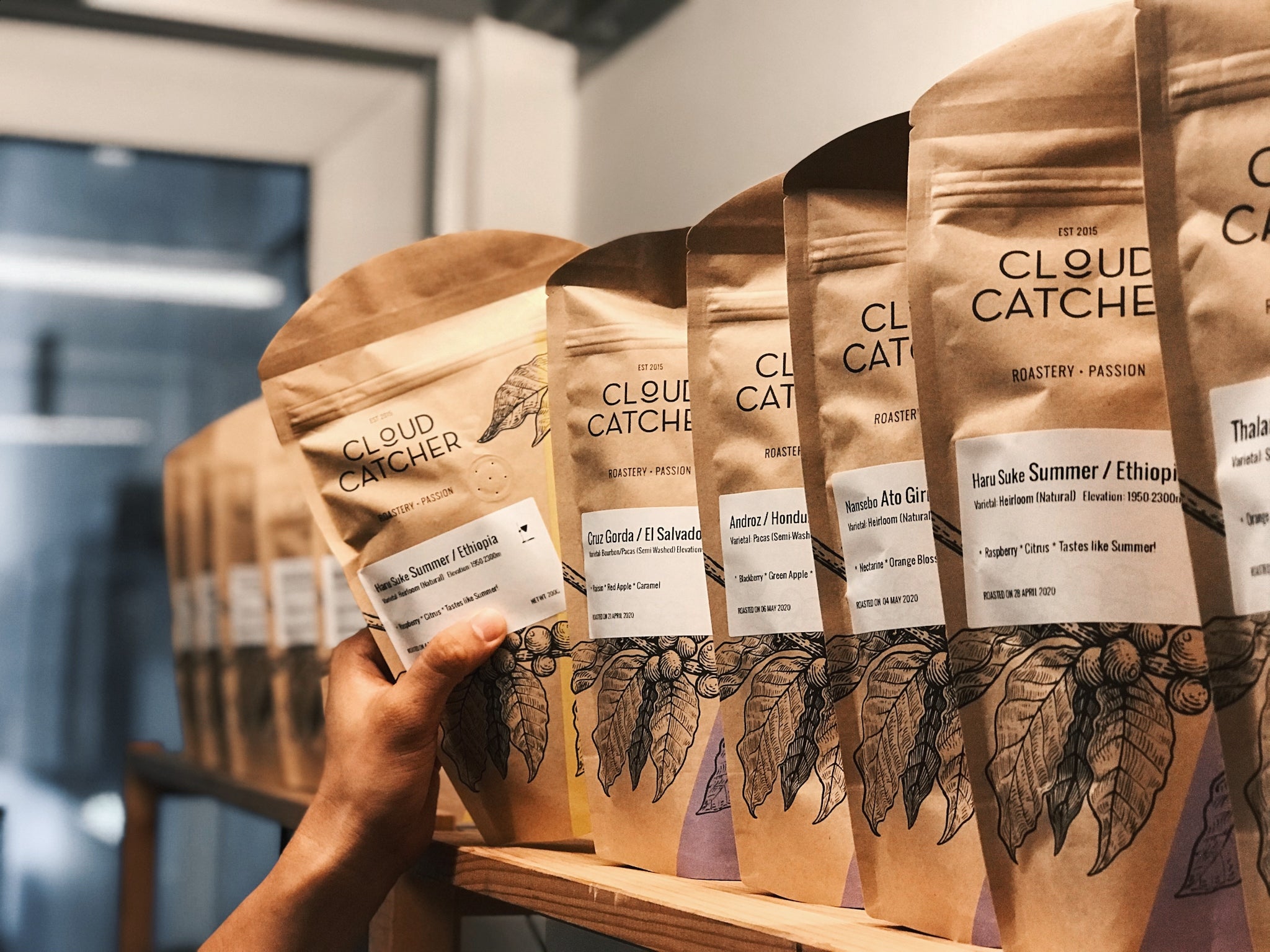 Roaster's Choice! Single Origin Subscriptions (Espresso and Filter available)