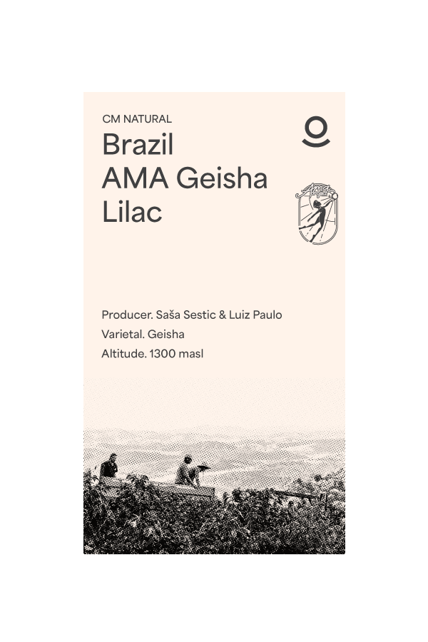 Brazil Ama Geisha Lilac (Green Beans) - Cloud Catcher Roastery