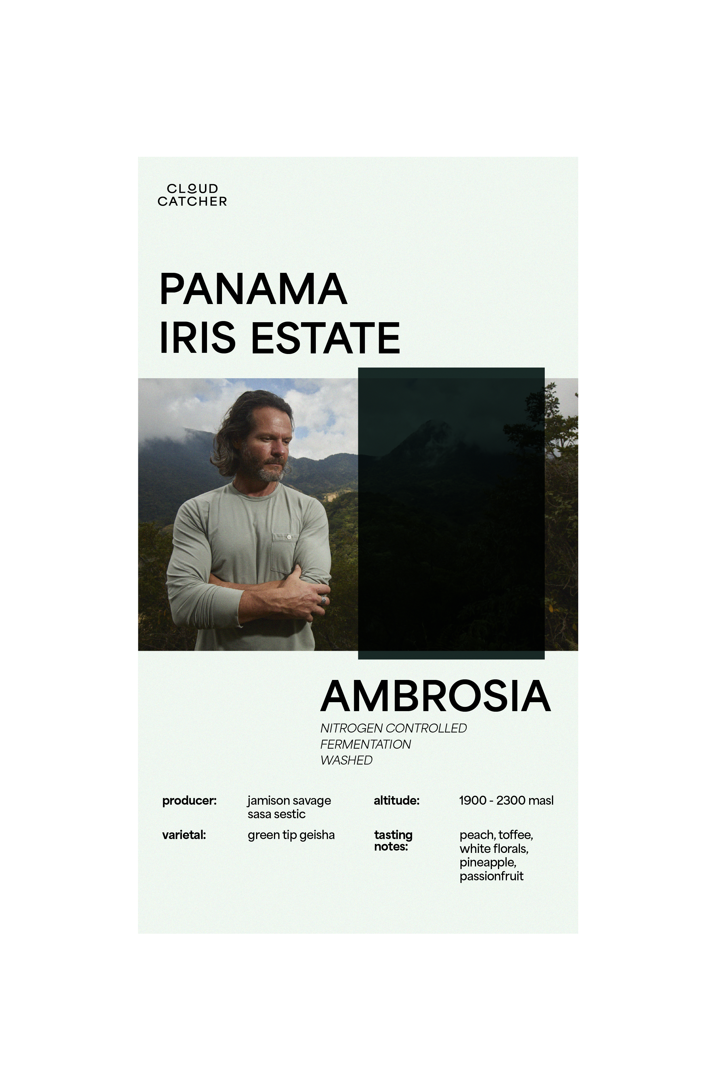 Iris Estate Ambrosia (Green Beans)