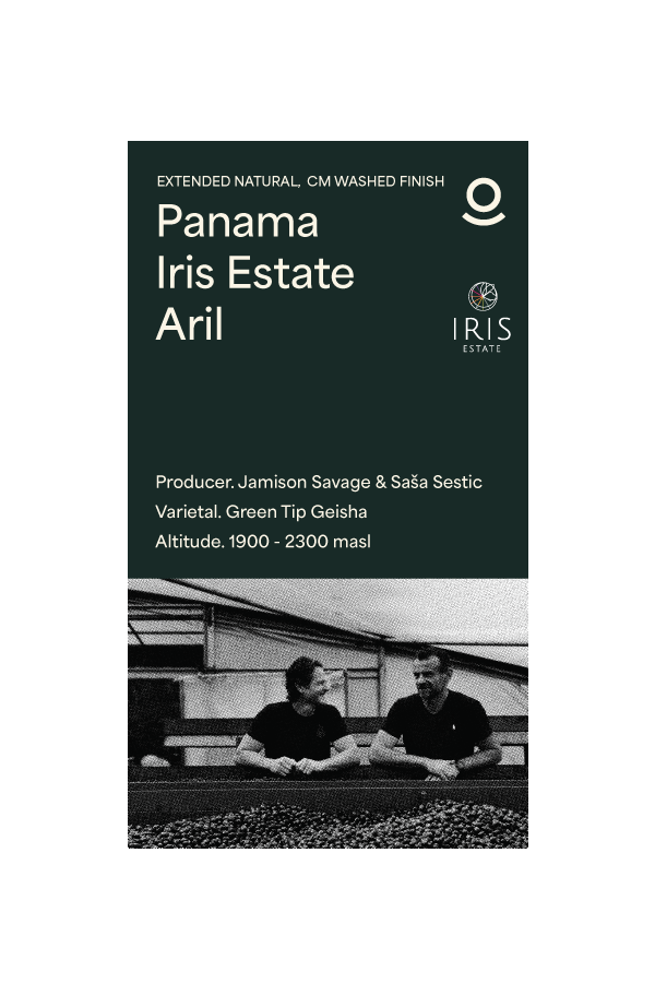 Iris Estate Aril (Green Beans)