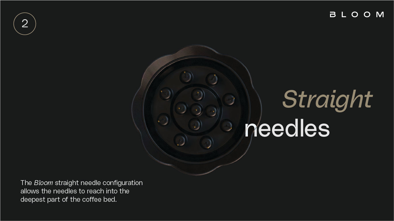 Nucleus Bloom - Cloud Catcher Roastery