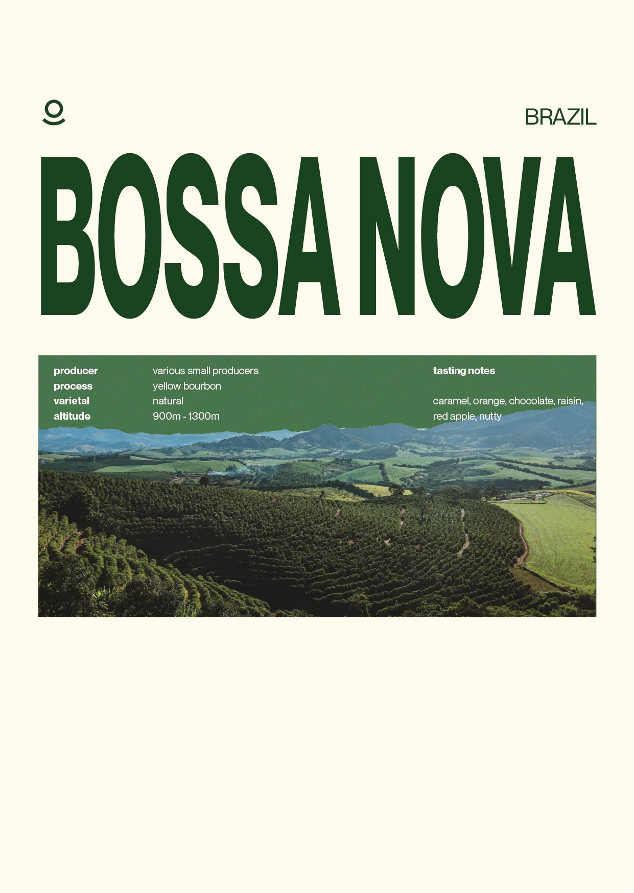 Brazil Bossa Nova (Green Beans) - Cloud Catcher Roastery