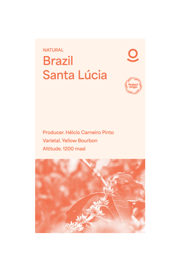 Brazil Santa Lúcia (Green Beans)