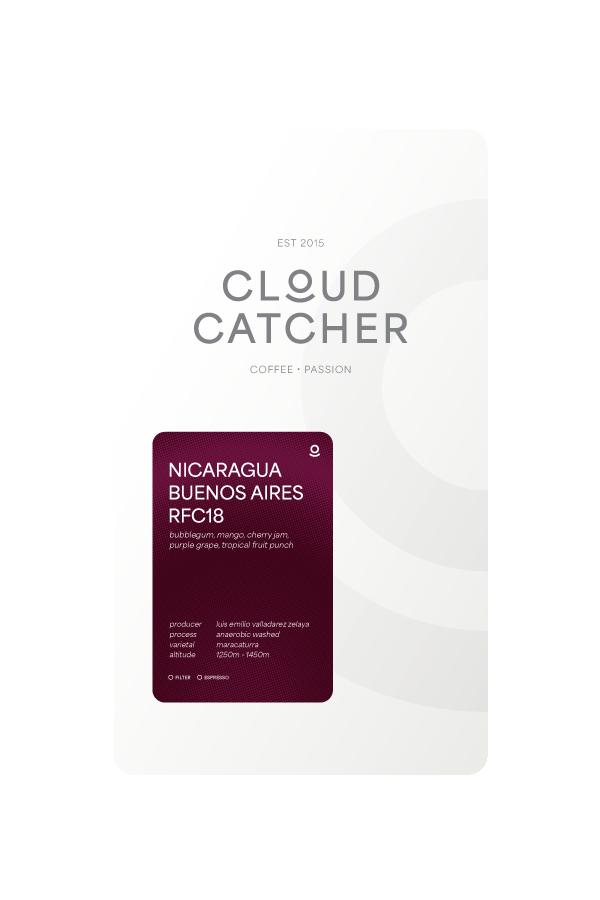 Cloud Catcher Roastery Nicaragua Buenos Aires Maracaturra RFC18 - Anaerobic Washed – specialty coffee beans Malaysia