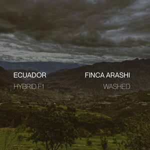 Ecuador Finca Arashi  - Washed