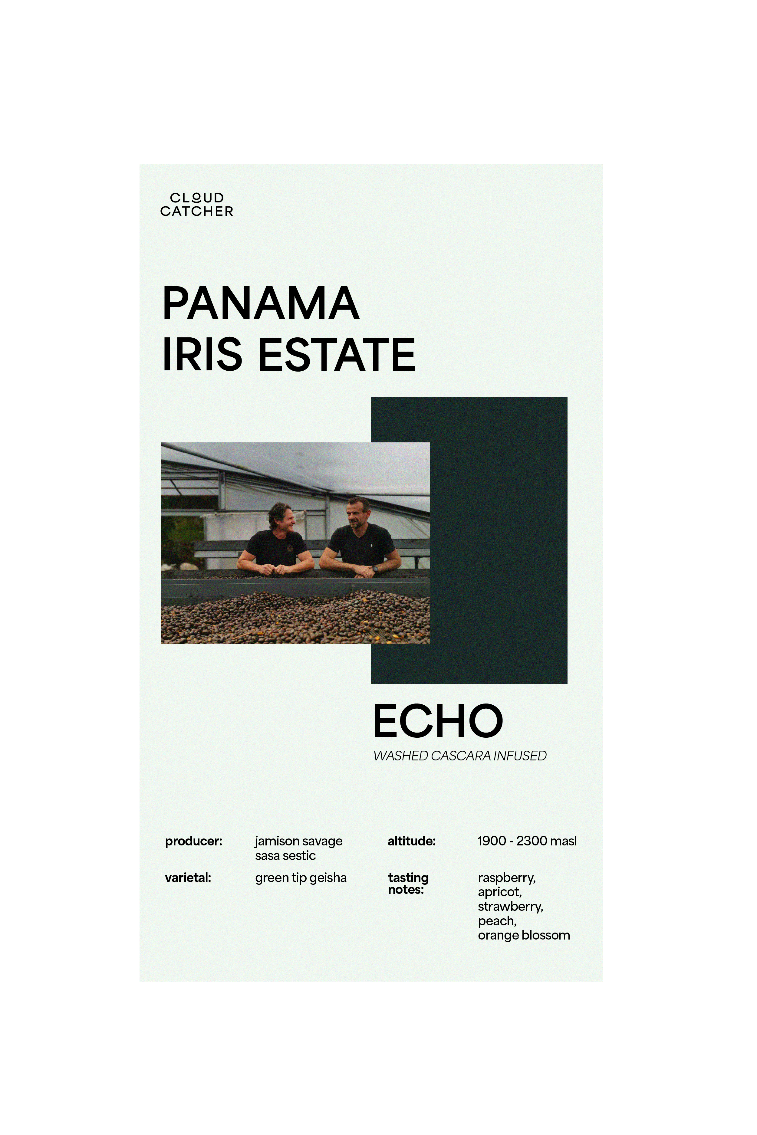 Iris Estate Echo (Green Beans)