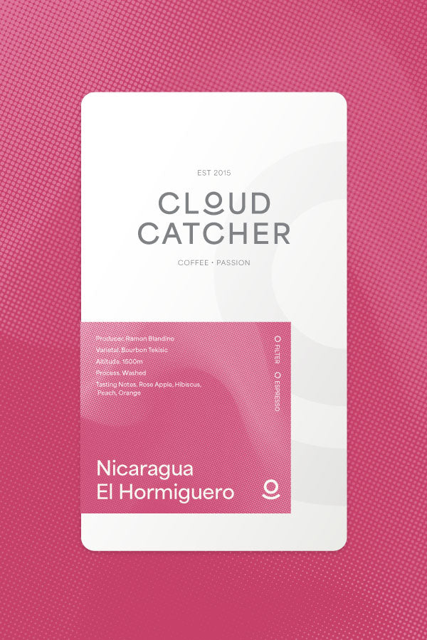 Nicaragua El Hormiguero - Washed - Cloud Catcher Roastery