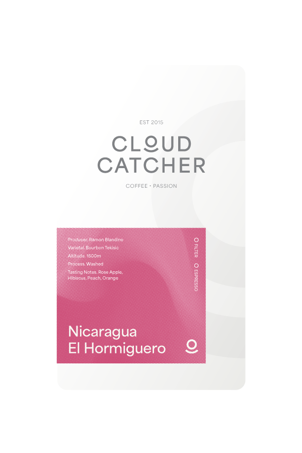 Nicaragua El Hormiguero - Washed