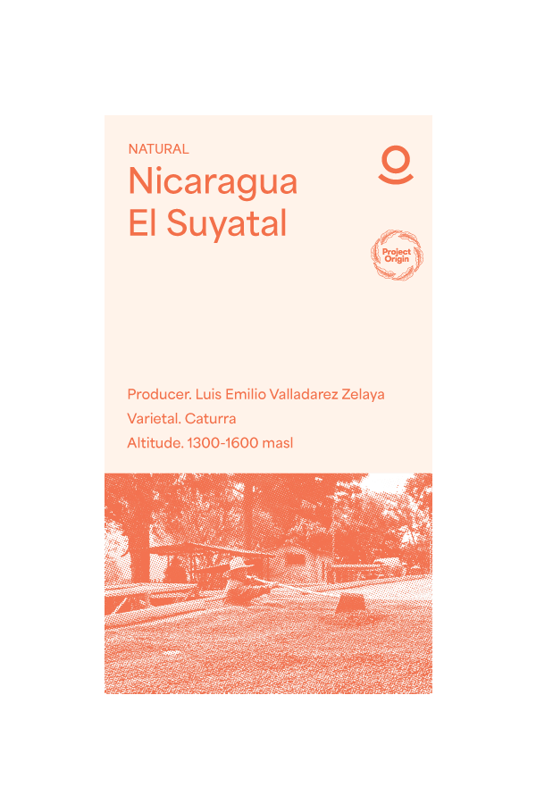 Nicaragua El Suyatal (Green Beans) - Cloud Catcher Roastery
