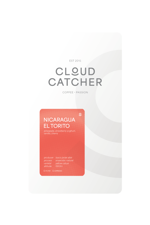 Cloud Catcher Roastery Nicaragua El Torito - Anaerobic Natural – specialty coffee beans Malaysia