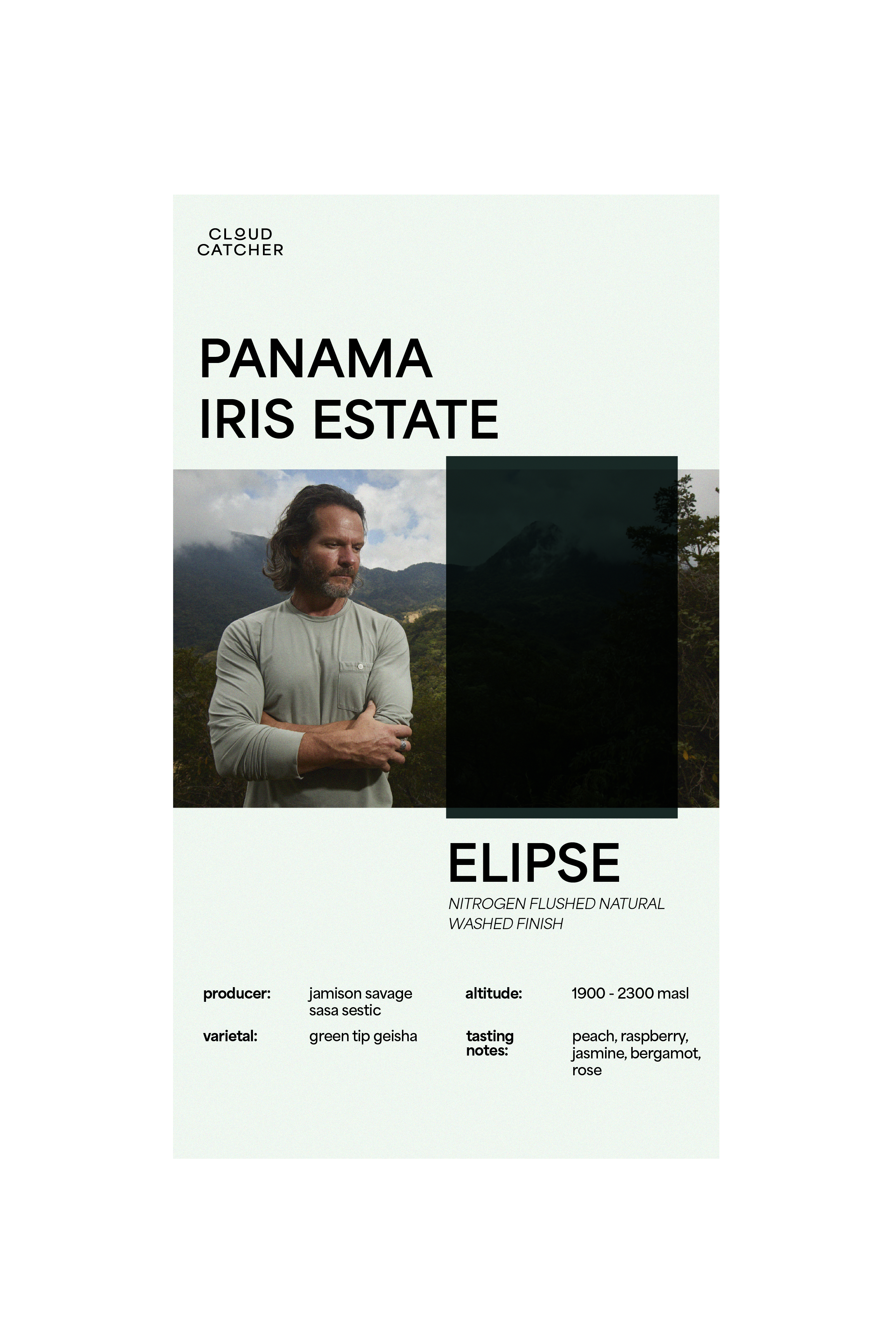 Iris Estate Elipse (Green Beans)