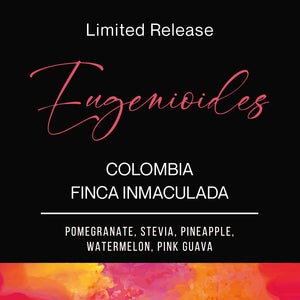 Eugenioides Colombia Finca Inmaculada - CM Natural - Cloud Catcher Roastery