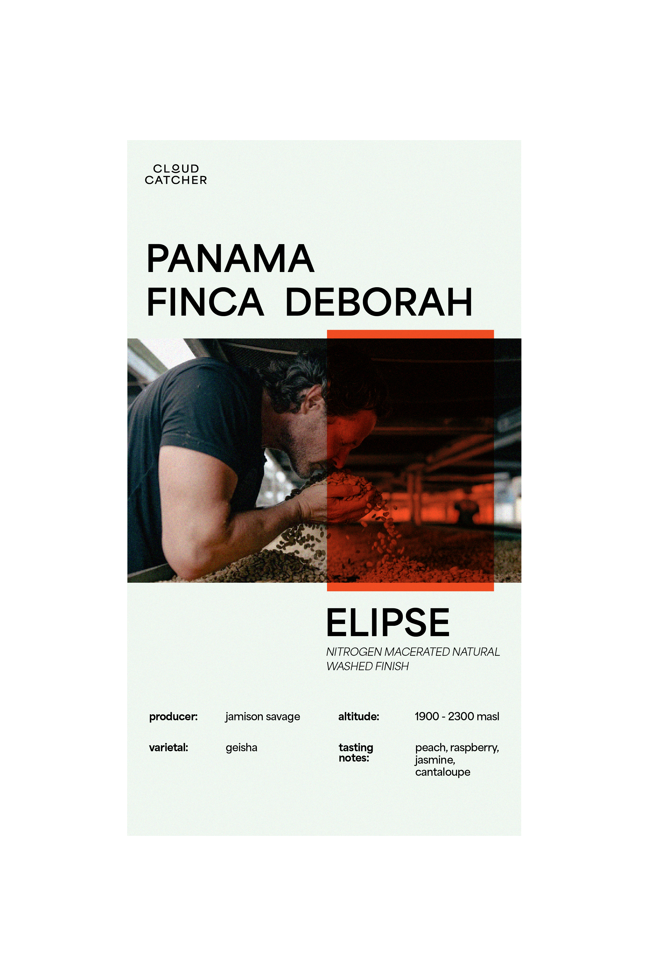 Finca Deborah Elipse (Green Beans)