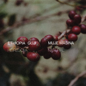 Ethiopia Guji Muje Masina - Natural