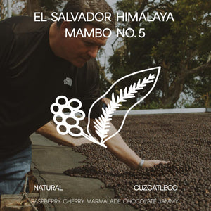 El Salvador Himalaya Mambo No. 5 - Natural