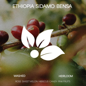 Ethiopia Sidamo Bensa -  Natural