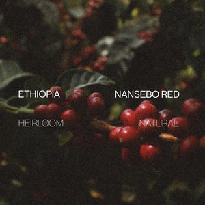 Ethiopia Nansebo Red G1 - Natural