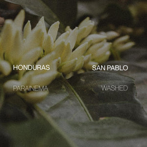 Honduras San Pablo - Washed