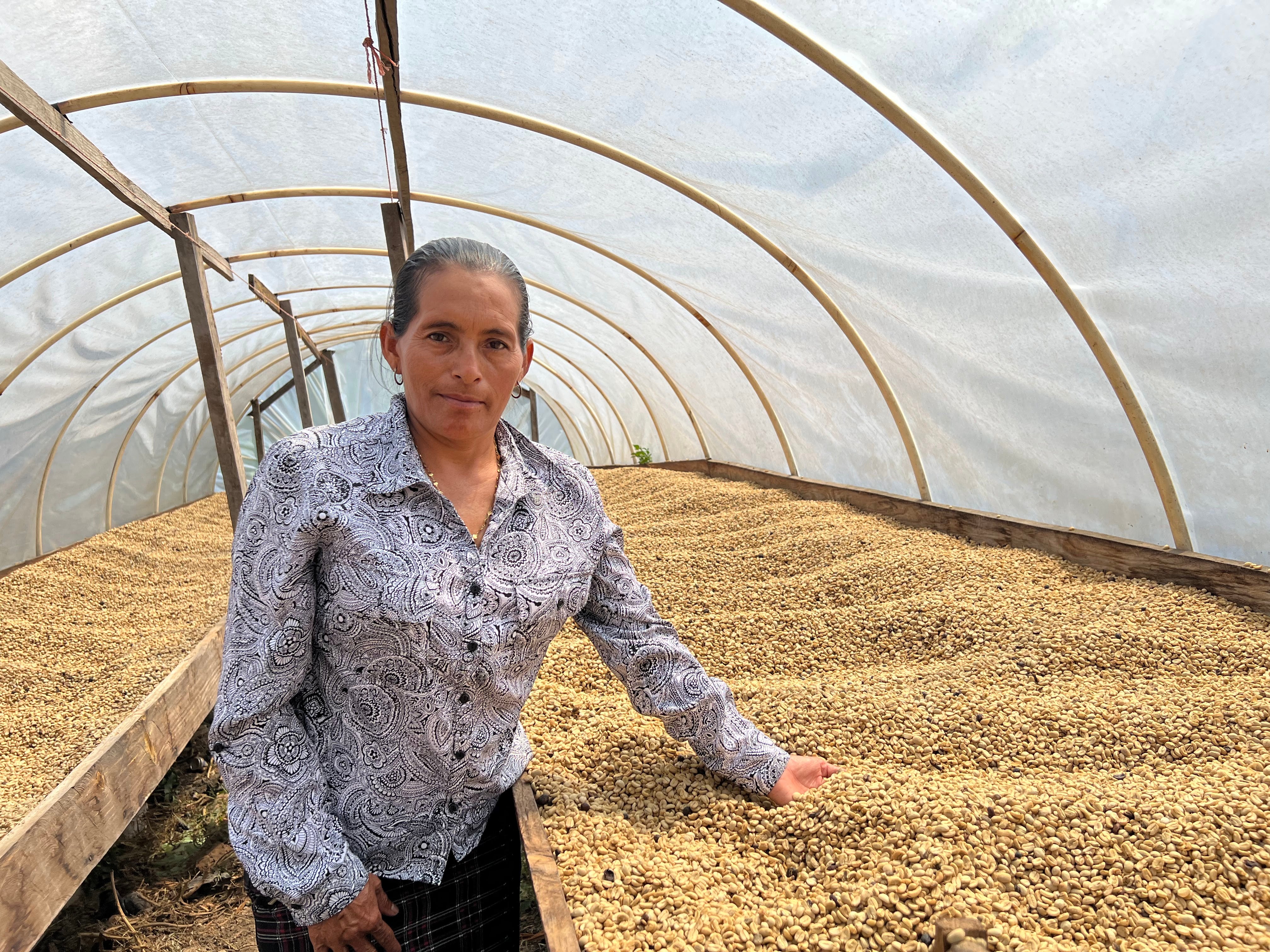 Coffee farmer