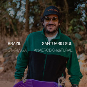 Brazil Fazenda Santuàrio Sul | Starmaya | Anaerobic Natural - Microlot