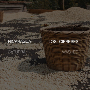 Nicaragua Los Cipreses - Washed