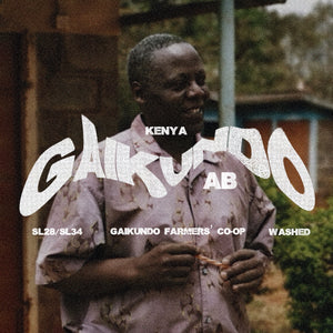 Kenya Gaikundo AB - Washed