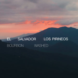 El Salvador Los Pirineos Bourbon - Washed - Cloud Catcher Roastery