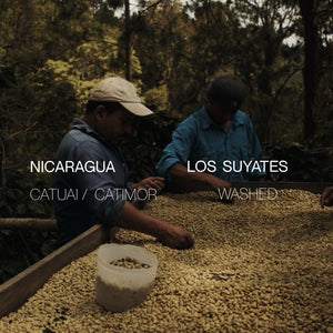 Nicaragua Los Suyates - Washed - Cloud Catcher Roastery