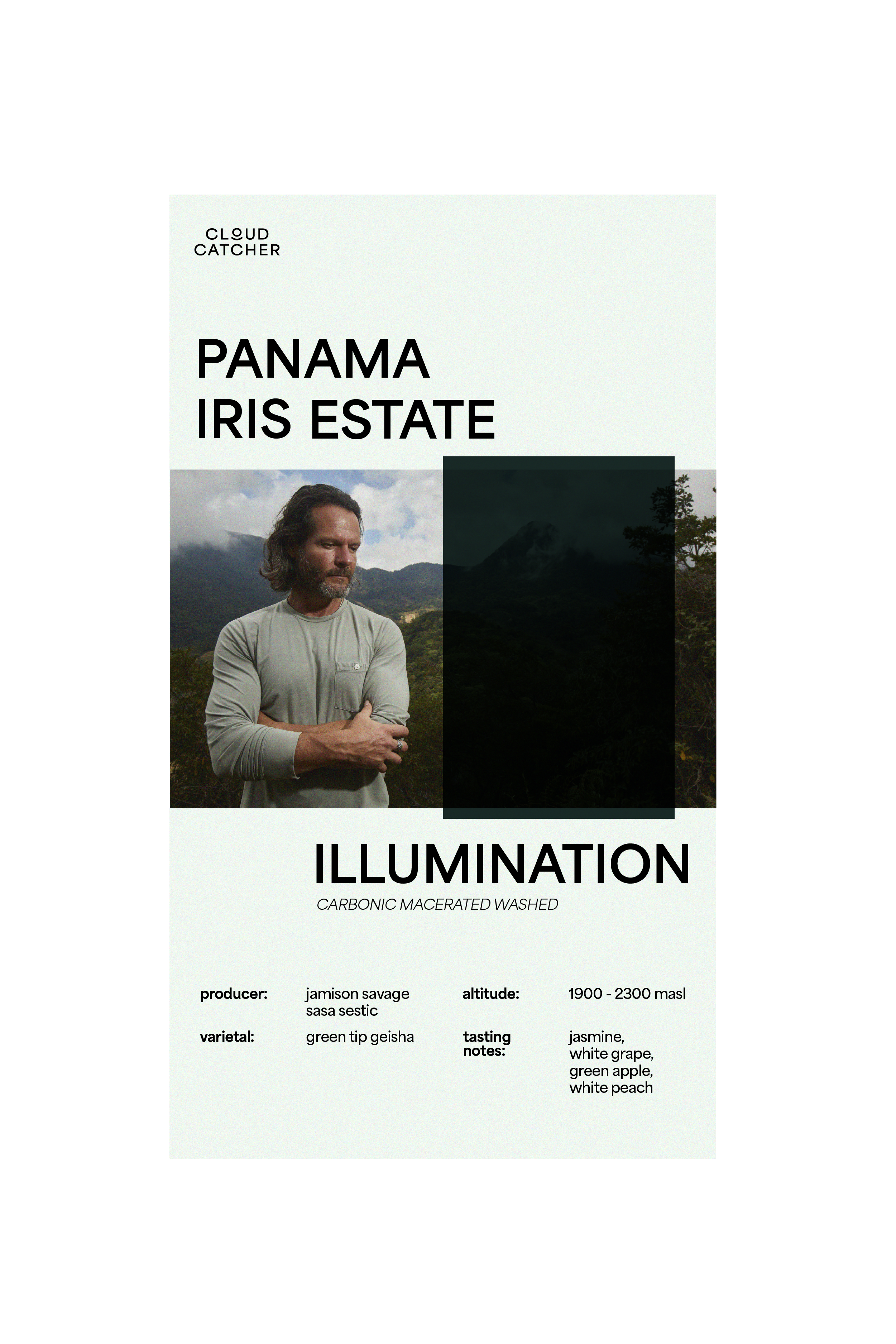 Iris Estate Illumination (Green Beans)